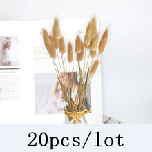Lade das Bild in den Galerie-Viewer, Getrocknete Pflanzen Deko | Pampas Gras für deine Deko
