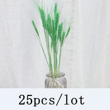 Lade das Bild in den Galerie-Viewer, Getrocknete Pflanzen Deko | Pampas Gras für deine Deko
